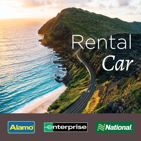 Rental car from Alamo, enterprise or National car rental